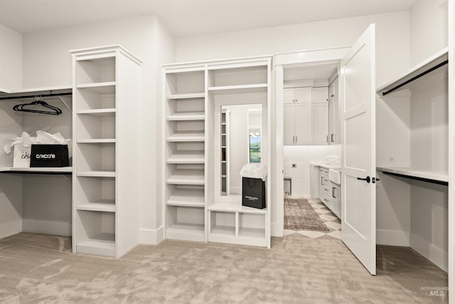 11473 N 17th Way, Boise, ID 83714 - walk in closet with light carpet