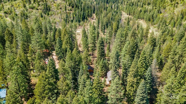 aerial view of a forest