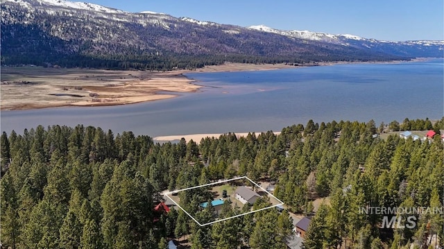 birds eye view of property with a water and mountain view and a forest view