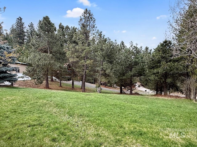 view of yard