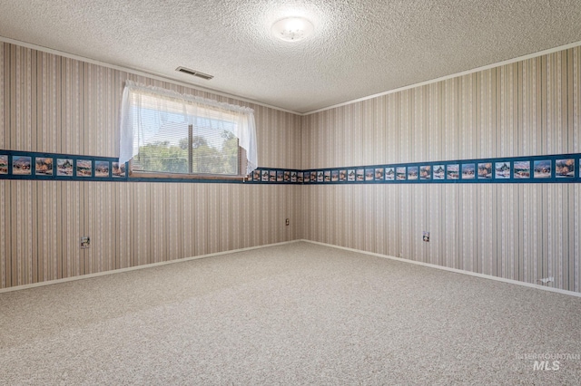 spare room with carpet floors and a textured ceiling