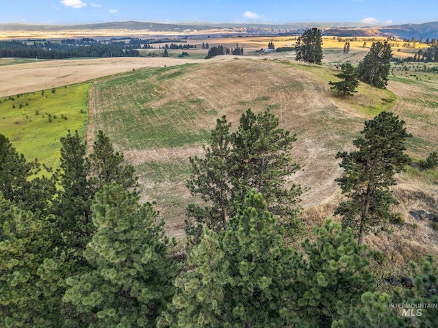 Listing photo 2 for TBD Keuterville Rd, Cottonwood ID 83522