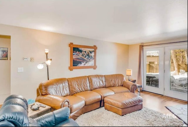 living room with french doors and hardwood / wood-style floors