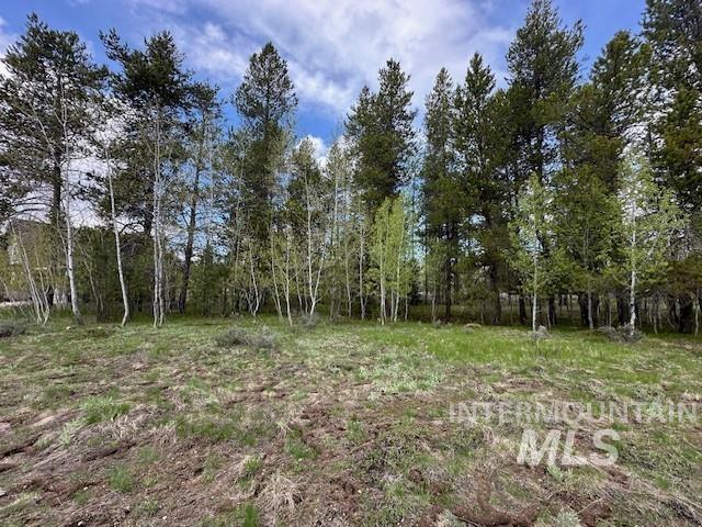 194 Morgan, Mccall, ID 83638