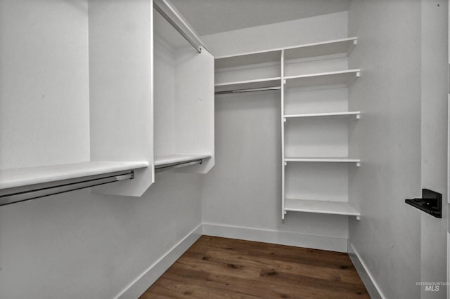 spacious closet with dark wood-style floors