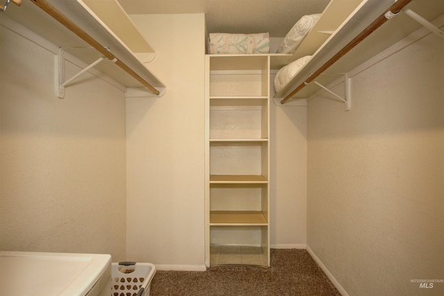 4420 N Ginzel St, Boise, ID 83703 - walk in closet with carpet floors