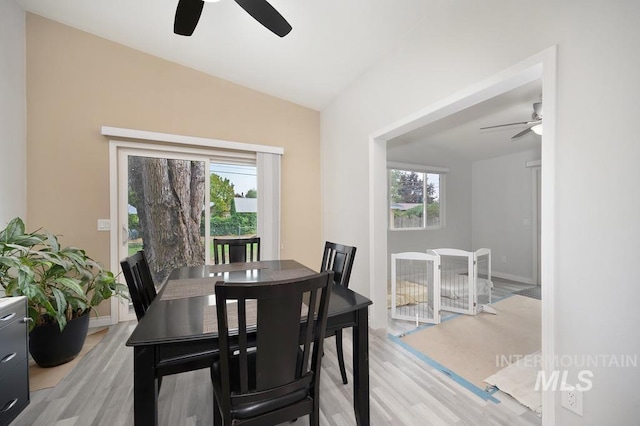 dining area with ceiling fan, light hardwood / wood-style floors, a healthy amount of sunlight, and vaulted ceiling