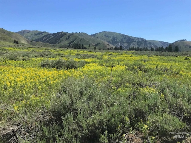 LOT3BLOCK1 S Fork Rnch, Subdivision, Featherville ID, 83647 land for sale