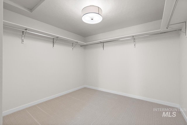 spacious closet with light colored carpet