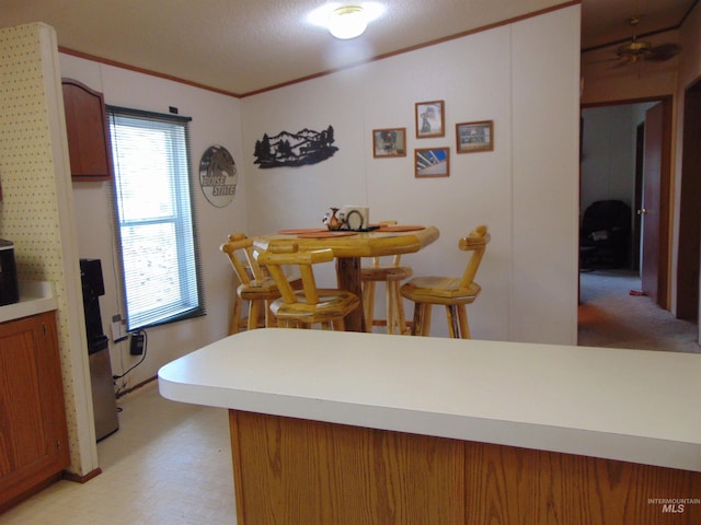 dining area featuring ceiling fan, ornamental molding, and light floors