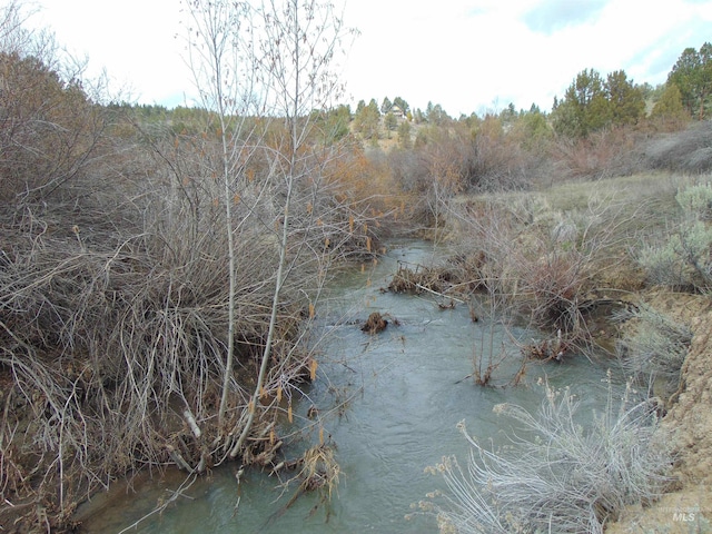 view of nature featuring a view of trees