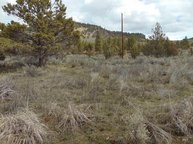 view of local wilderness featuring a mountain view