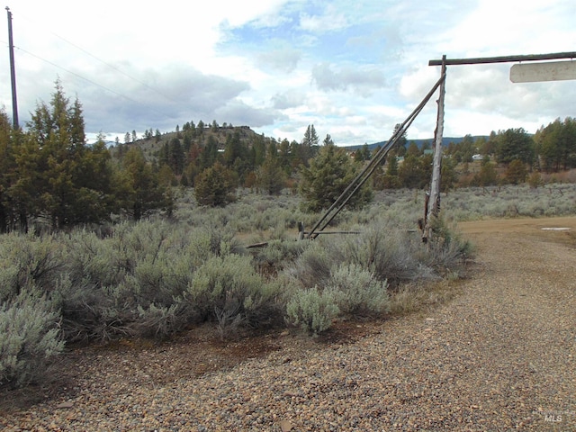 view of nature