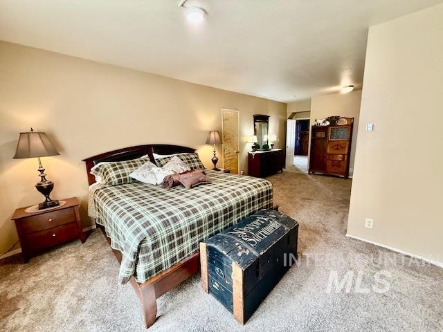 407 1st St, Asotin, WA 99402 - view of carpeted bedroom