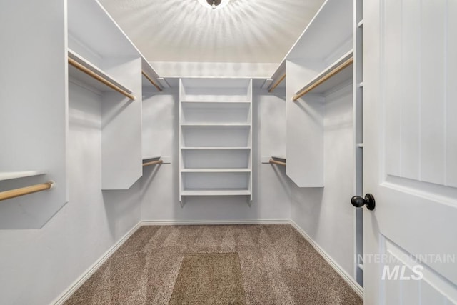 walk in closet with carpet floors