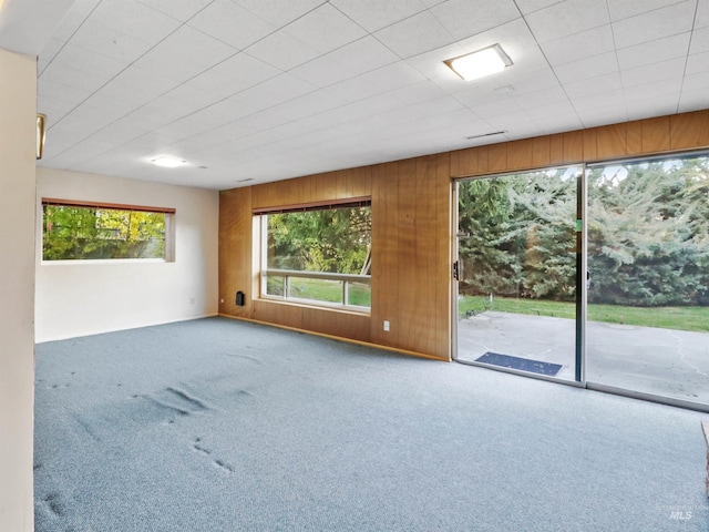 carpeted empty room featuring wood walls