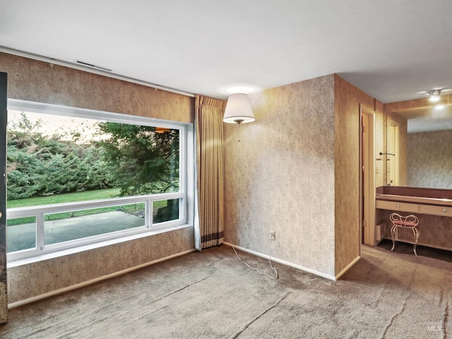 unfurnished room featuring carpet