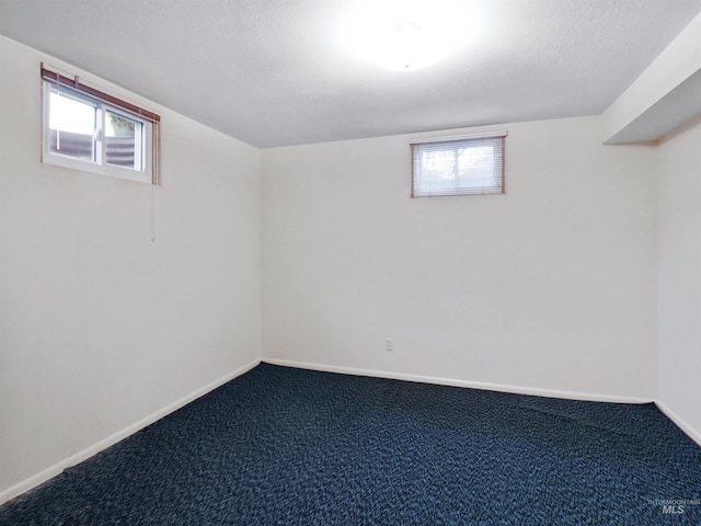 basement with carpet