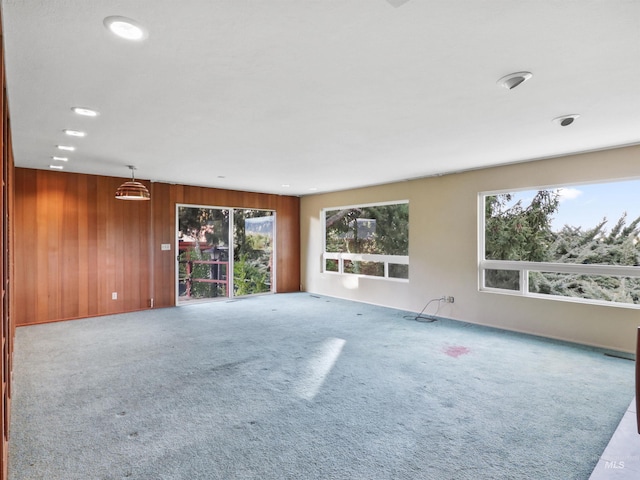 carpeted spare room with wood walls and a healthy amount of sunlight