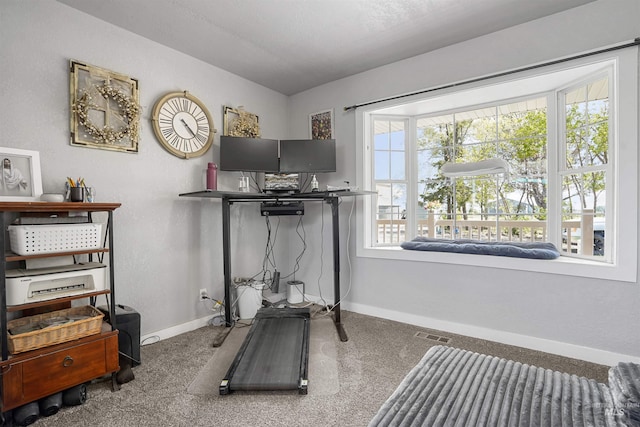 360 N 700 W, Paul, ID 83347 - carpeted office space featuring baseboards
