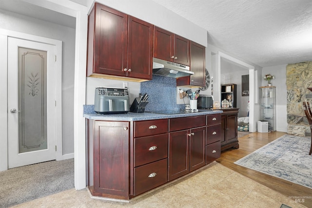 360 N 700 W, Paul, ID 83347 - kitchen with dark brown cabinets, under cabinet range hood, a textured ceiling, and black electric stovetop