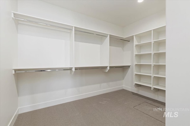4265 W Thornapple Dr, Meridian, ID 83646 - walk in closet featuring carpet
