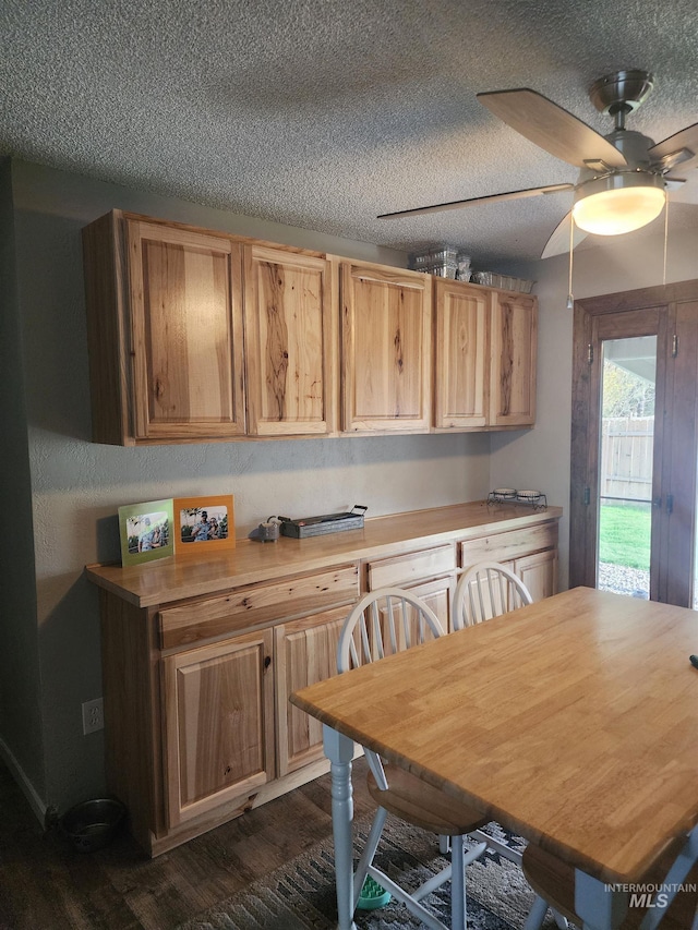 kitchen featuring dark wood-style floors, a textured ceiling, and a ceiling fan