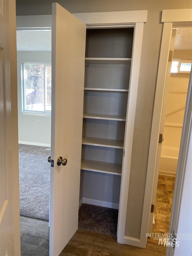 view of closet