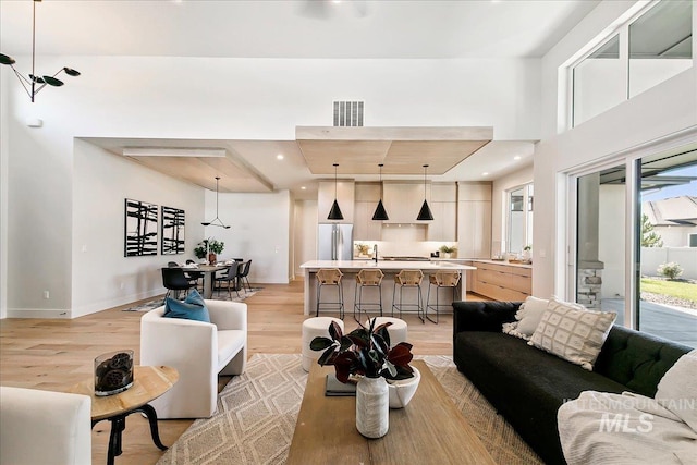 living room featuring light hardwood / wood-style flooring and sink