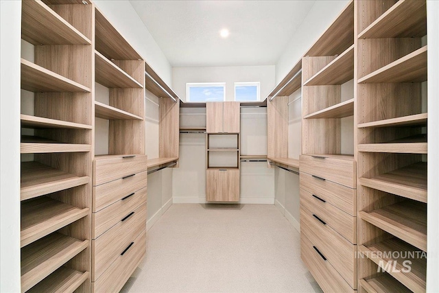 walk in closet with light colored carpet