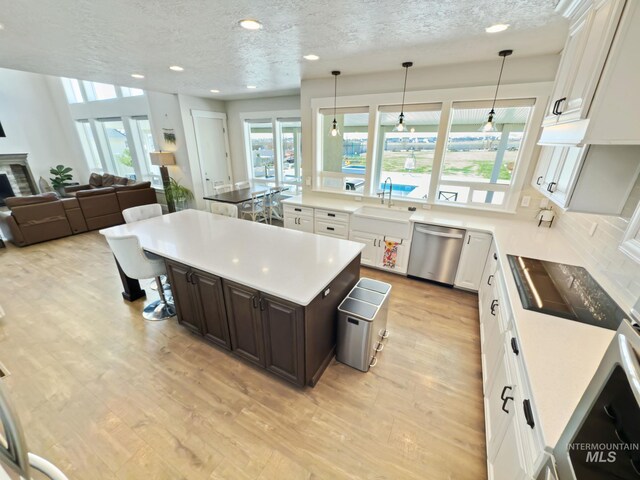 7063 S Pear Blossom, Meridian, ID 83642 - kitchen with dark brown cabinetry, light wood-type flooring, white cabinetry, stainless steel dishwasher, and a sink