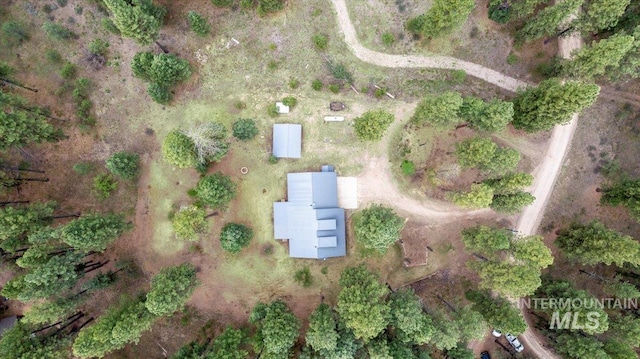 42 Hiatt Cir, Idaho City, ID 83631 - aerial view of property's location