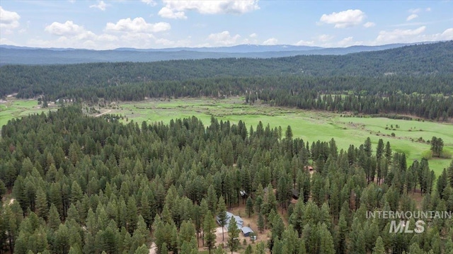 42 Hiatt Cir, Idaho City, ID 83631 - aerial view of a forest and a mountainous background