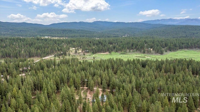 42 Hiatt Cir, Idaho City, ID 83631 - view of mountain backdrop with a forest