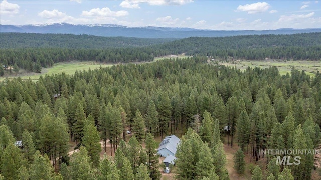 42 Hiatt Cir, Idaho City, ID 83631 - bird's eye view of a forest and a mountainous background