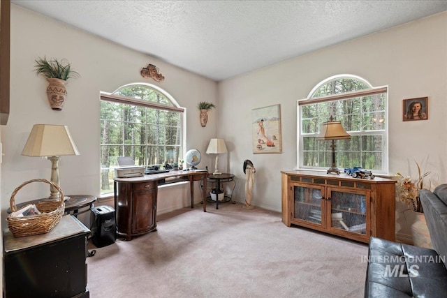 42 Hiatt Cir, Idaho City, ID 83631 - office featuring light carpet and a textured ceiling