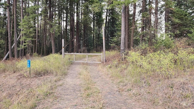 view of road