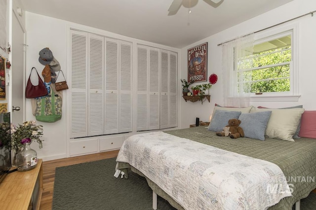 2844 Parke Circle Dr, Boise, ID 83705 - bedroom featuring wood finished floors, two closets, and a ceiling fan
