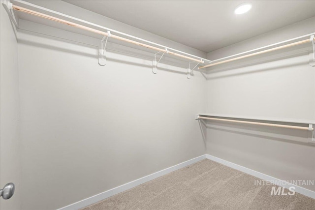 walk in closet with light colored carpet