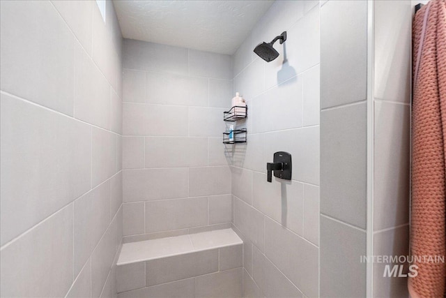 11328 W Campanula Dr, Star, ID 83669 - bathroom with a tile shower