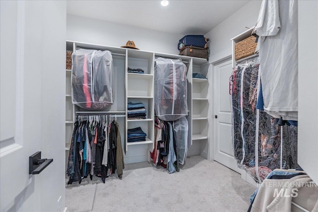 11328 W Campanula Dr, Star, ID 83669 - spacious closet with carpet floors