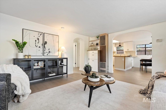 1223 N Mckinney St, Boise, ID 83704 - living area with arched walkways, baseboards, and wood finished floors