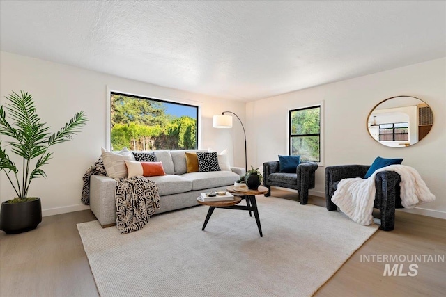 1223 N Mckinney St, Boise, ID 83704 - living area with baseboards and wood finished floors