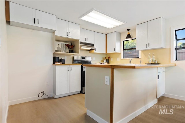 1223 N Mckinney St, Boise, ID 83704 - kitchen featuring electric range, light wood-style floors, a peninsula, a wealth of natural light, and under cabinet range hood