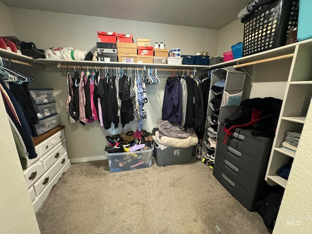 spacious closet with carpet floors