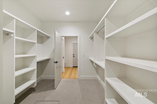 spacious closet featuring light colored carpet