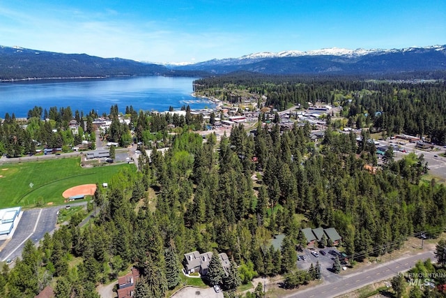 141 Stibnite St Unit 15, Mccall, ID 83638 - aerial view of property's location with a forest and a water and mountain view