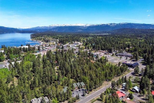 141 Stibnite St Unit 15, Mccall, ID 83638 - aerial overview of property's location with a heavily wooded area and a water and mountain view