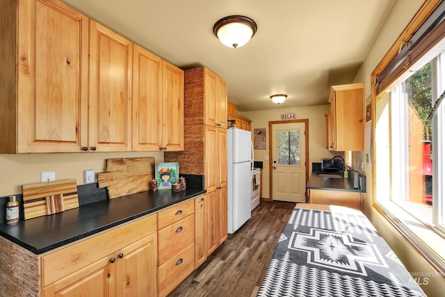 141 Stibnite St Unit 15, Mccall, ID 83638 - kitchen featuring a sink, light brown cabinets, and freestanding refrigerator