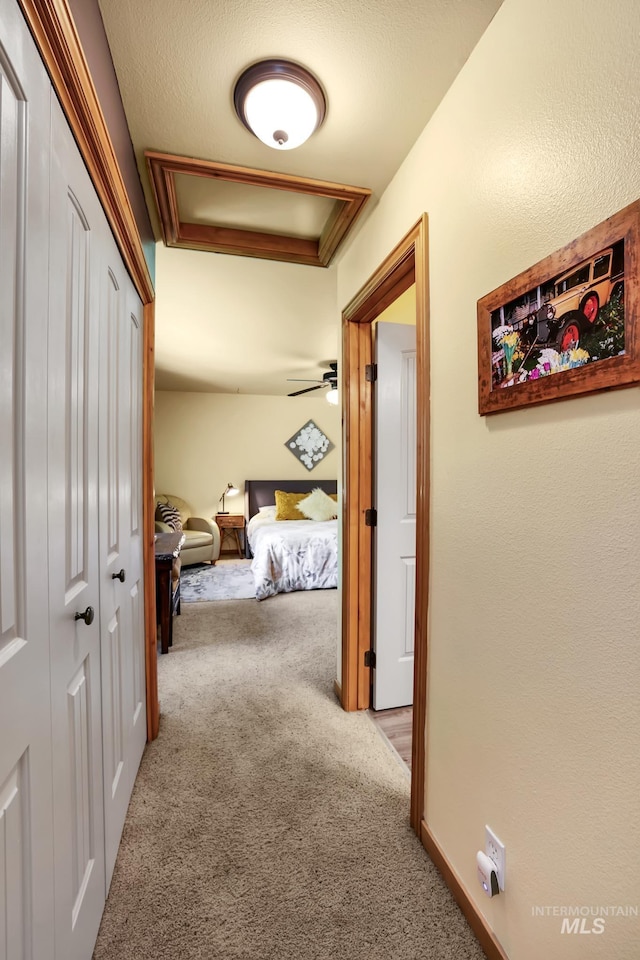 141 Stibnite St Unit 15, Mccall, ID 83638 - corridor with carpet